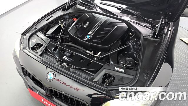 BMW 5-Series 520d M  2013 thumbnail 6