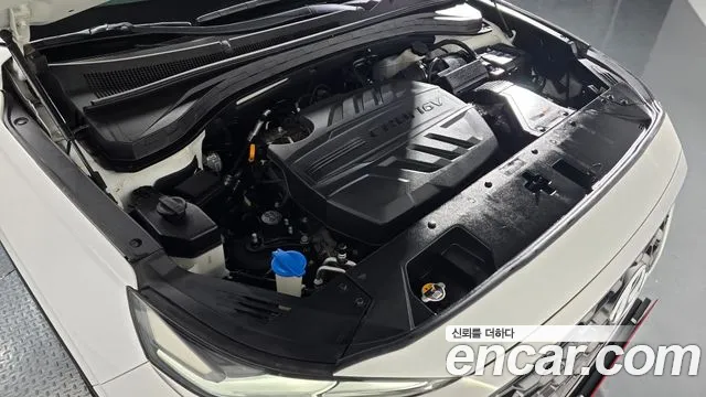 Hyundai Santafe 2.2 2WD 2019 thumbnail 19